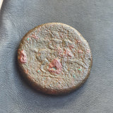 #o338# Sicilian Greek coin of Hieron II from Syracuse, 230-218 BC.