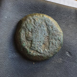 #e566# Anonymous Iberian Greek City Issue Bronze Coin of Carteia from 44-1 BC