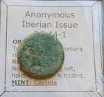 #N603# Anonymous Iberian Greek City Issue Bronze Coin of Carteia from 44-1 BC