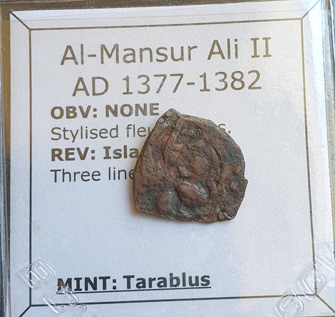 #e352# Mamluk Fals coin of Sultan Al-Mansur Ali II of Egypt 1377-1381 AD