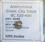#o156# Anonymous silver Greek city issue Hemiobol coin from Kyzikos, 520-480 BC