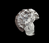 #M799# Roman Silver Denarius coin of Commodus from 183 AD