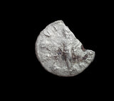 #M773# Roman silver denarius coin of Severus Alexander from 222-228 AD