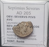 #N016# Roman silver denarius coin of Septimius Severus from 205 AD