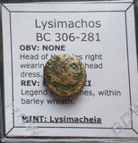 #L639# Greek bronze Macedonian coin of King Lysimachos from 306-300 BC