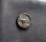 #L654# Anonymous Greek City Issue Bronze Coin of Kyme 250-200 BC