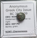 #L674# Anonymous Greek city issue bronze coin from Chersonesos 386-309 BC