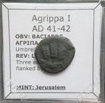 #L864# Roman-Judean Bronze coin of Agrippa I from 41-42 AD