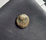 #L749# Anonymous Greek bronze coin from Neonteichos, 300-100 BC