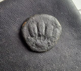 #L864# Roman-Judean Bronze coin of Agrippa I from 41-42 AD