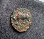 #M468# Sicilian Greek coin of Agathokles from Syracuse, 317-310 BC