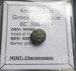 #L623# Anonymous Greek city issue bronze coin from Chersonesos 386-309 BC