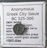 #K898# Bronze Anonymous Greek city issue coin from Kios, 325-300 BC