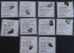 #N08# Ex-dealers lot of 10 Ancient silver Roman coins from 145-188 AD