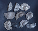 #N02# Ex-dealers lot of 10 Ancient silver Roman coins from 72-239 AD