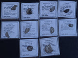 #N01# Ex-dealers lot of 10 Ancient silver Roman coins from 77-260 AD