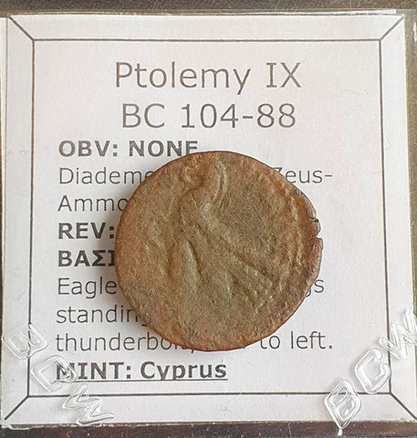 #N252# Greek Ptolemaic coin of King Ptolemy IX, 104-88 BC