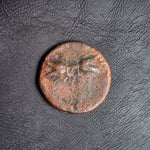 #N808# Sicilian Greek coin of Agathokles from Syracuse, 317-289 BC.