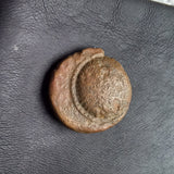 #N823# Anonymous Greek City Issue Bronze coin from Philadelphia 200-100 BC