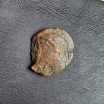 #N807# Sicilian Greek coin of Agathokles from Syracuse, 317-289 BC.