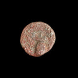 #N866# Anonymous Roman Republican issue bronze coin of Syracuse 212-200 BC