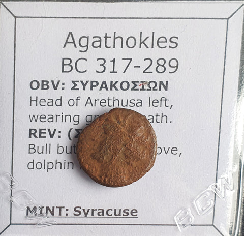 #N869# Sicilian Greek coin of Agathokles from Syracuse, 317-289 BC