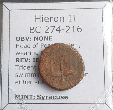 #N875# Greek bronze coin of Hieron II from Syracuse 275-215 BC