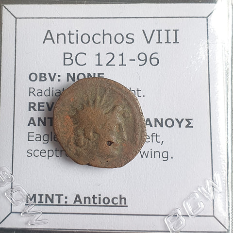 #N826# Greek Seleucid coin of Antiochus VIII from 121-96 BC