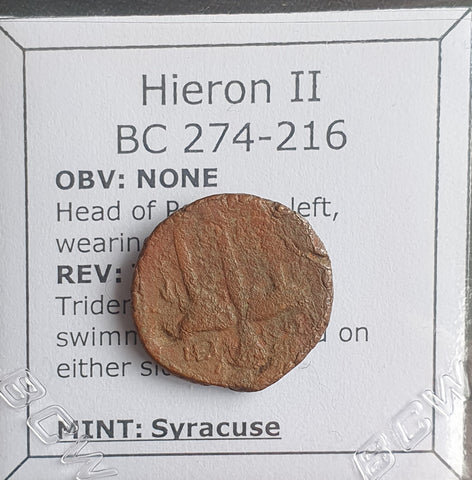 #N802# Greek bronze coin of Hieron II from Syracuse 275-215 BC