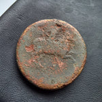 #N893# Sicilian Greek coin of Hieron II from Syracuse, 230-218 BC.