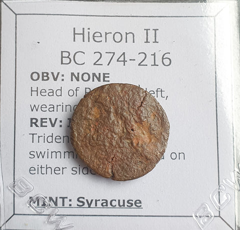 #N877# Greek bronze coin of Hieron II from Syracuse 275-215 BC