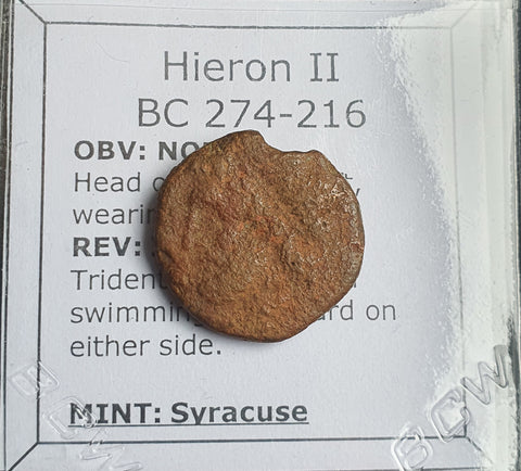 #N798# Greek bronze coin of Hieron II from Syracuse 275-215 BC
