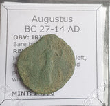 #N795# Roman provincial bronze coin of Augustus from BC 27-14 AD (Irippo, Iberia)