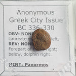 #N810# Anonymous Sicilian Greek coin from Panormos, 336-330 BC