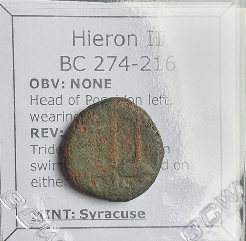 #N779# Greek bronze coin of Hieron II from Syracuse 275-215 BC