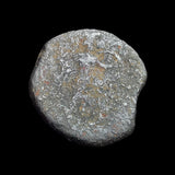 #N827# Anonymous Sicilian Greek coin from Messana (The Mamertinoi), 211-208 BC