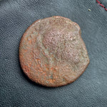 #N838# Anonymous Sicilian Greek coin from Soloi, 200-150 BC