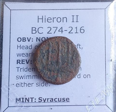 #N800# Greek bronze coin of Hieron II from Syracuse 275-215 BC