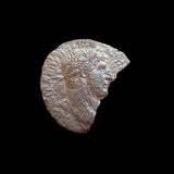 #o110# Roman silver denarius coin of Hadrian from 118 AD