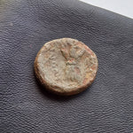 #N992# Anonymous Sicilian Greek coin from Leontinoi, 207-200 BC