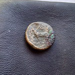 #L738# Anonymous Greek City Issue coin of Aigospotamoi from 325-275 BC