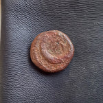 #o194# Anonymous roman provincial bronze coin from Ascalon from BC 27-14 AD (Augustus)