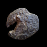 #o281# Anonymous Roman Republican Uncia coin from 215-212 BC