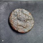 #o351# Anonymous Sicilian Greek coin from Akragas, 275-240 BC