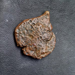 #o355# Anonymous Sicilian Greek coin from Alaisa Archonidea, 241-190 BC