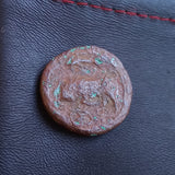 #o339# Sicilian Greek coin of Agathokles from Syracuse, 317-289 BC