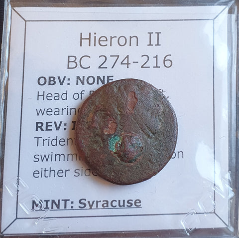 #N986# Greek bronze coin of Hieron II from Syracuse 275-215 BC