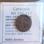 #N107# Roman provincial bronze coin of Caracalla from 198-217 AD (Serdica)