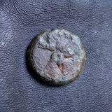 #n666# Anonymous Iberian Greek City Issue Bronze Coin of Ebusus (Ibiza) from 300-200 BC