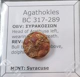 #o395# Sicilian Greek coin of Agathokles from Syracuse, 317-289 BC